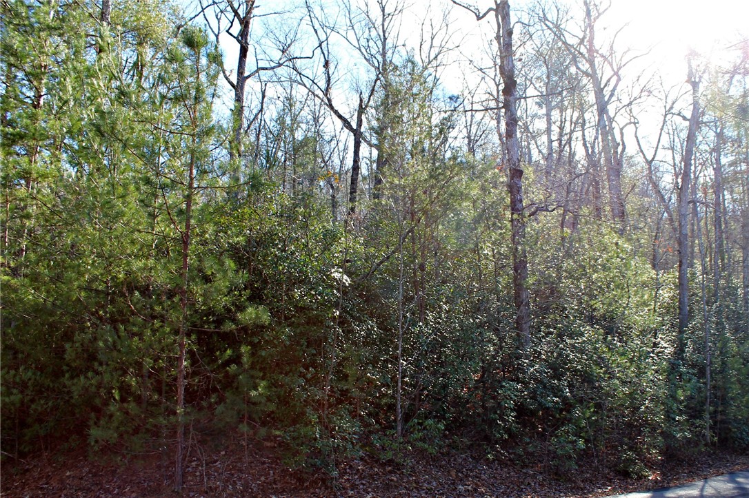 Lot 38 Bay View Road Salem, SC 29676 - Photo 5 of 11 Gallery Image 5