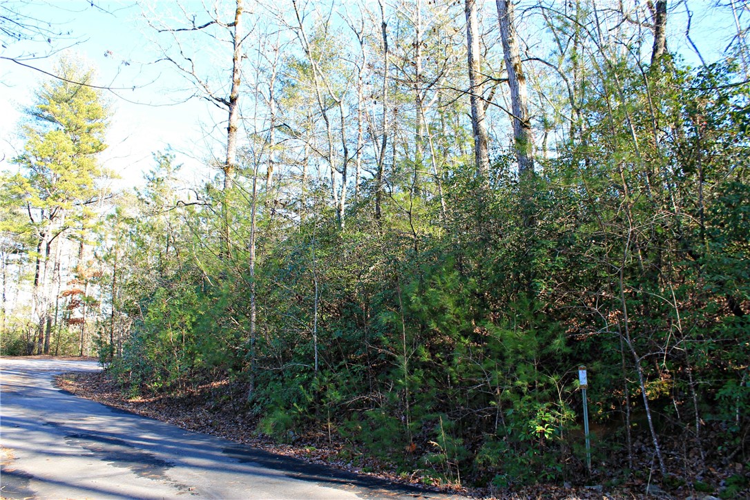 Lot 38 Bay View Road Salem, SC 29676 - Photo 8 of 11 Gallery Image 8