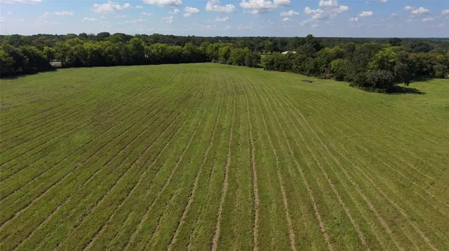 a view of grassy field with trees