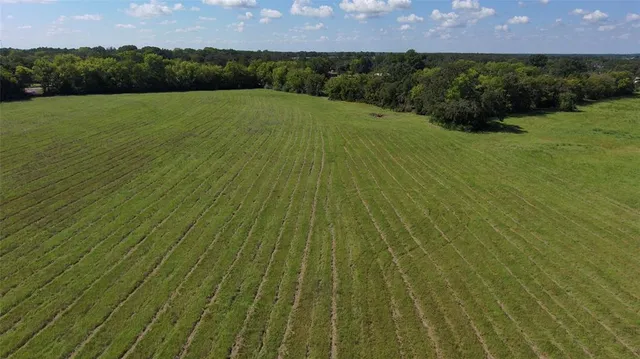 a view of a yard with a wooden fence