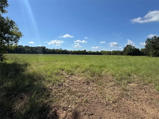 a view of a yard with an trees