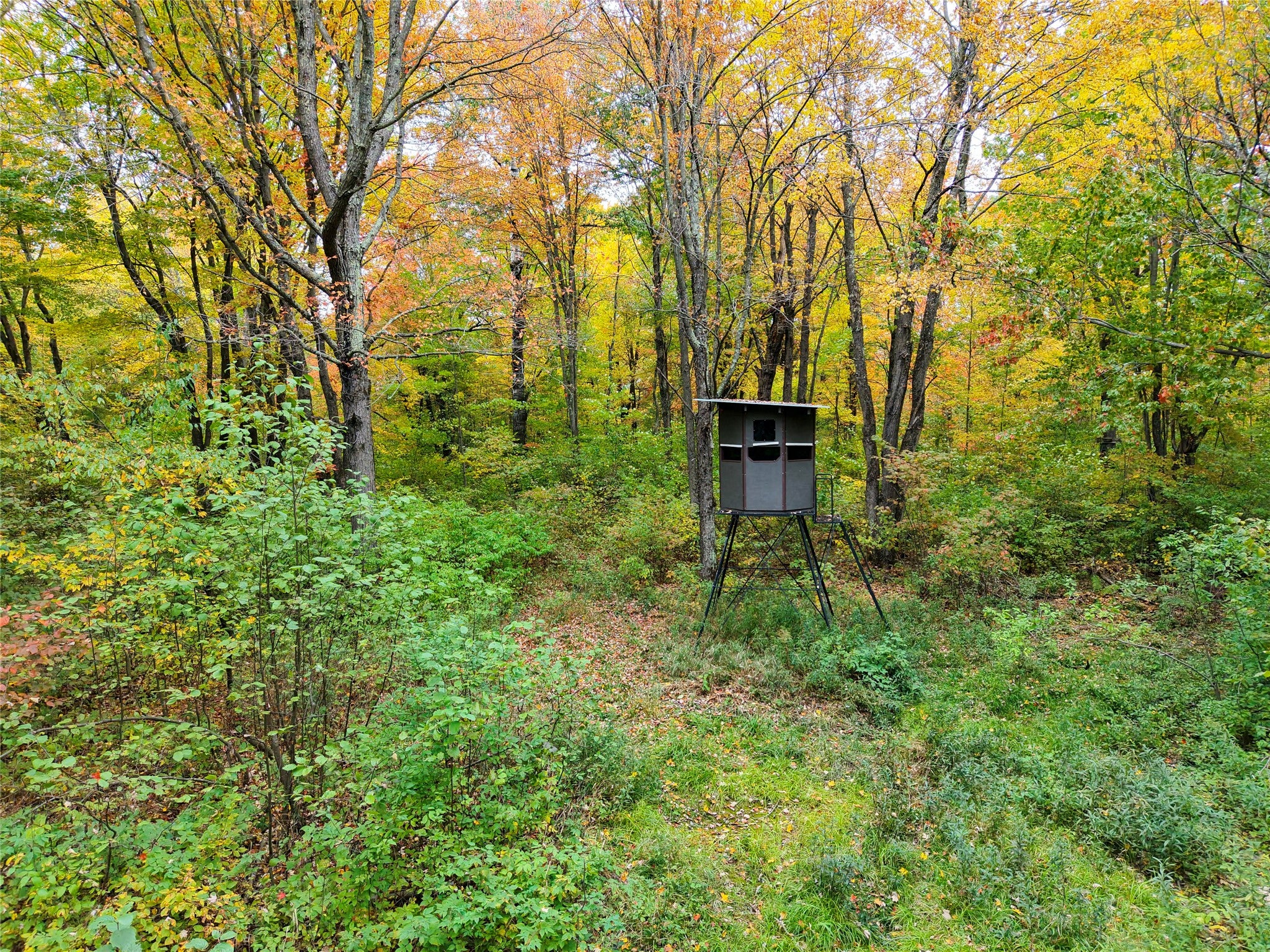 0 County Road Ogema, WI 54459 - Photo 14 of 38 Gallery Image 14