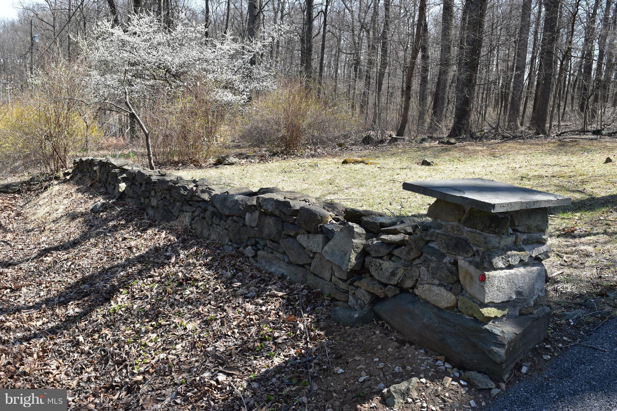284 Luchase Road Linden, VA 22642 - Photo 25 of 26 Exterior (General)