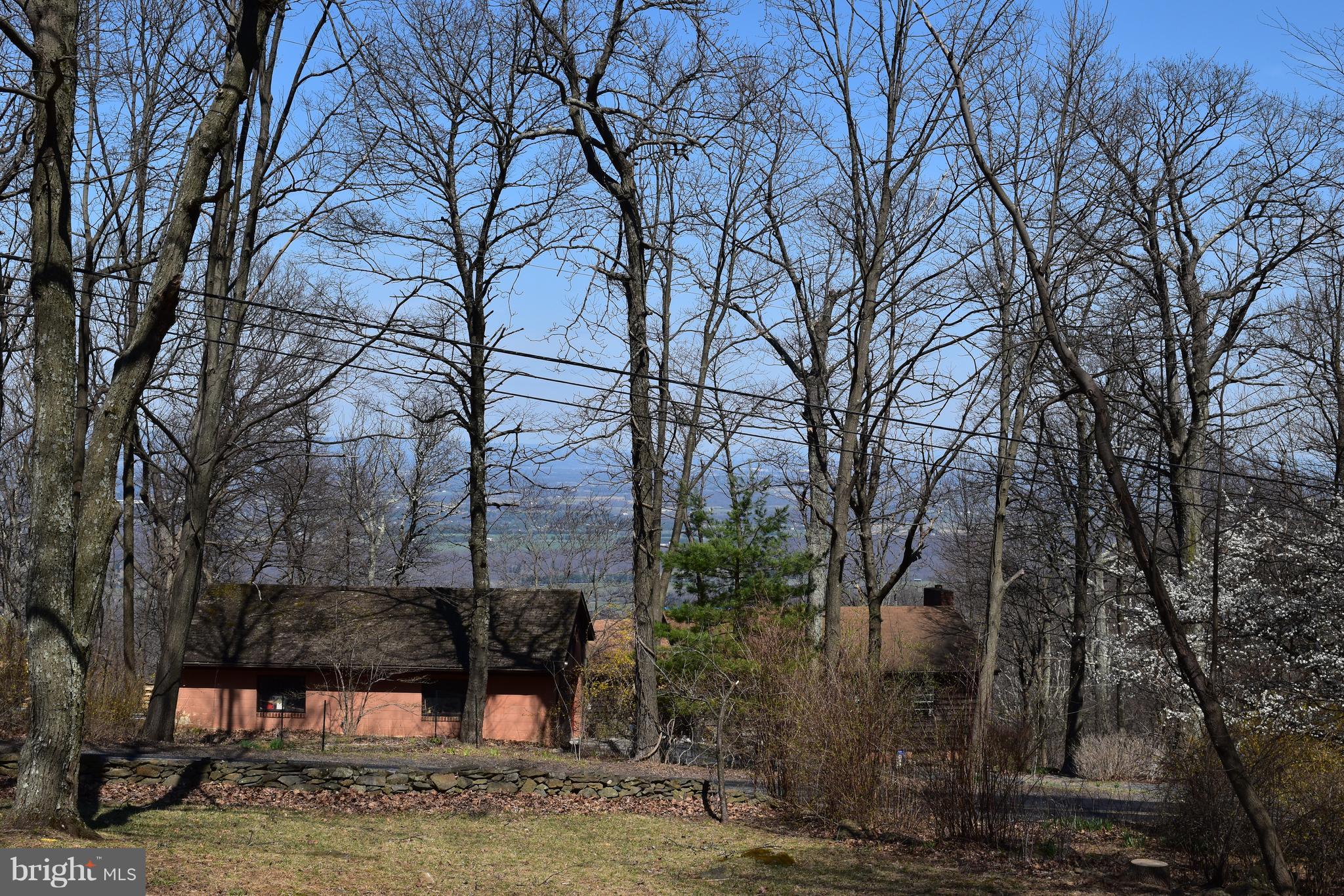 284 Luchase Road Linden, VA 22642 - Photo 4 of 26 Seasonal Views