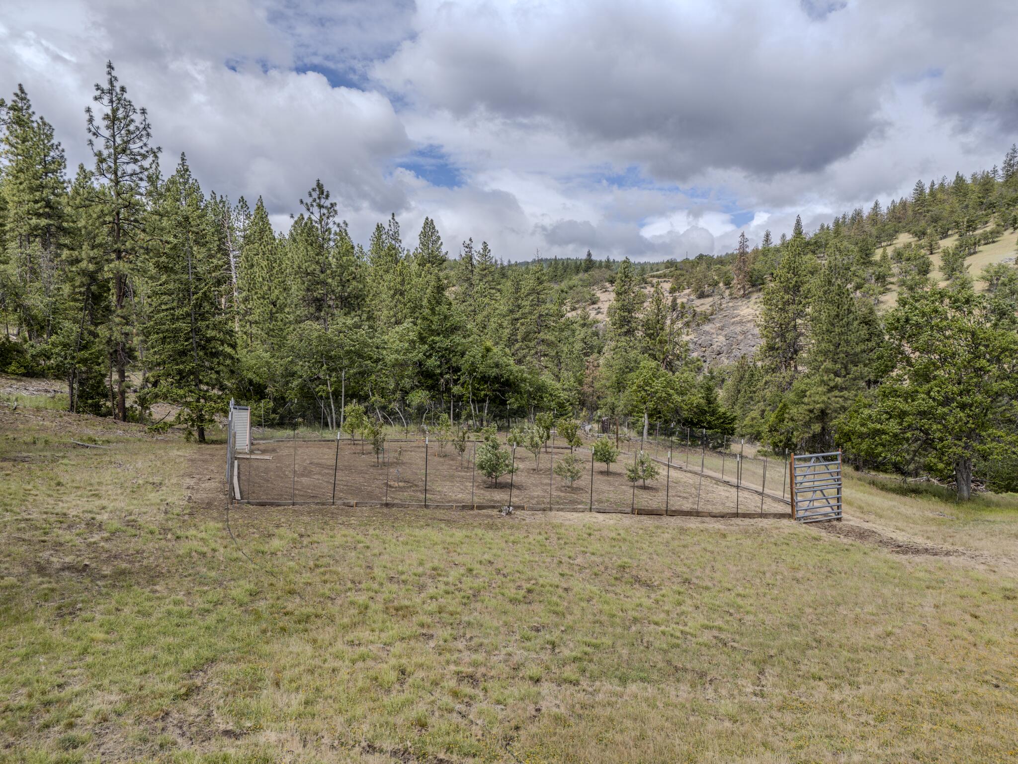 1969 Colestin Road Ashland, OR 97520 - Photo 65 of 72 DJI_20260527023023_0337_D-HDR