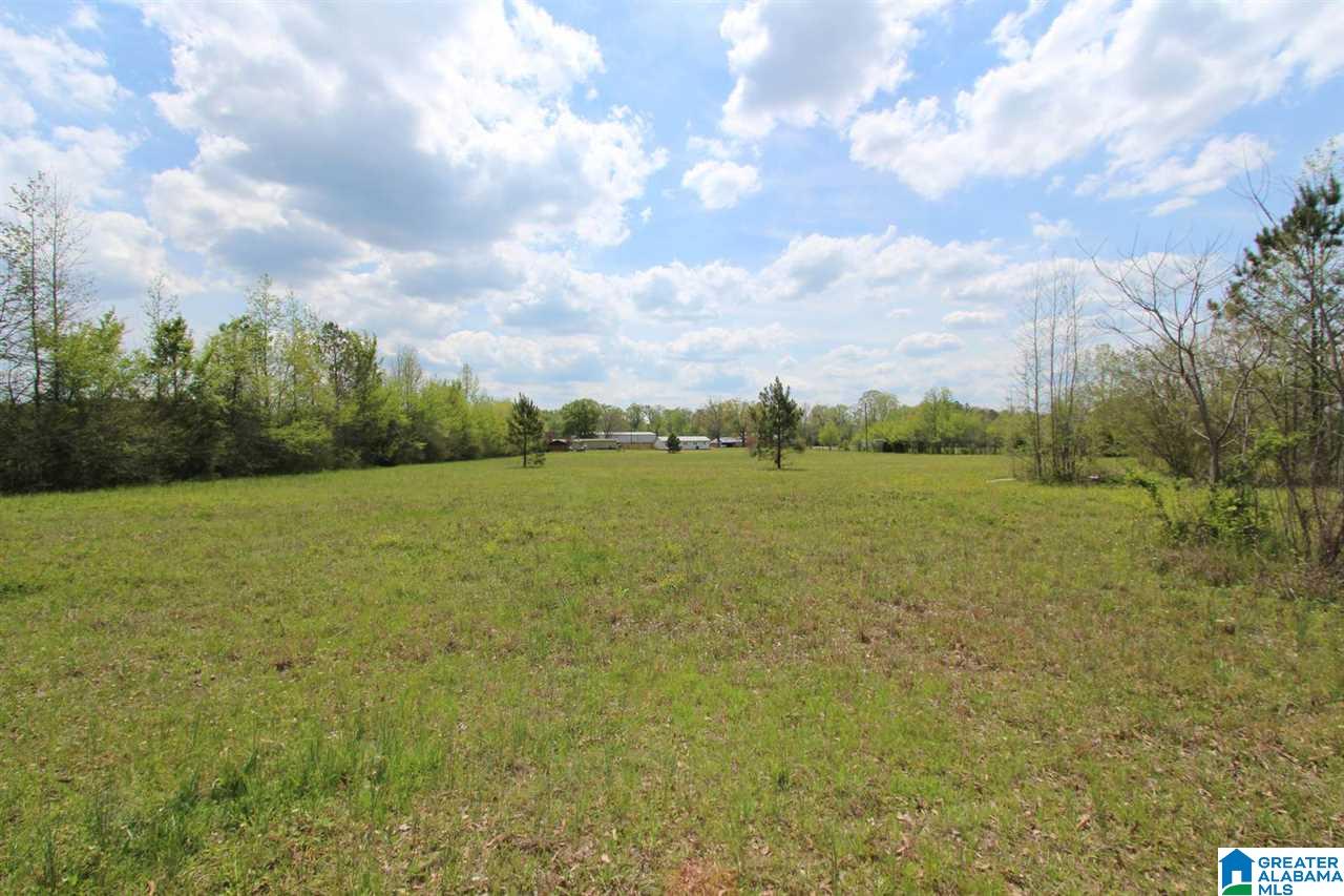 2695 McIntosh Road Oxford, AL 36203 - Photo 4 of 22