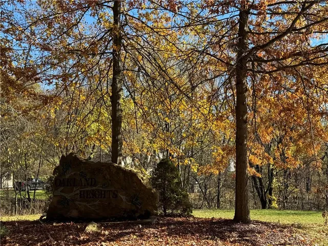 a view of a large tree in a yard