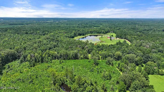 $1,590,000 | 297 Barnes Road, Florence, MS 39073