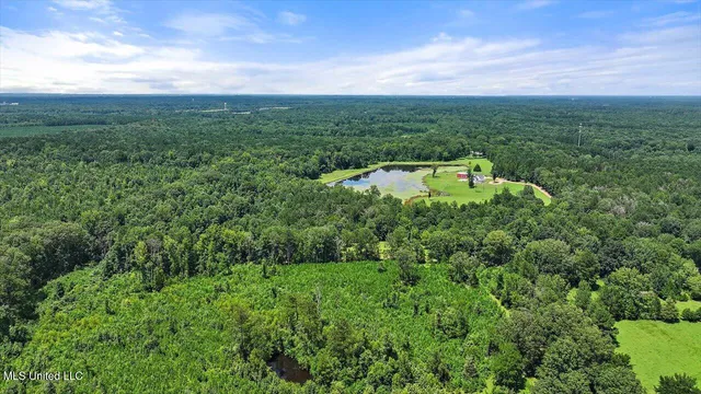 $1,590,000 | 297 Barnes Road, Florence, MS 39073