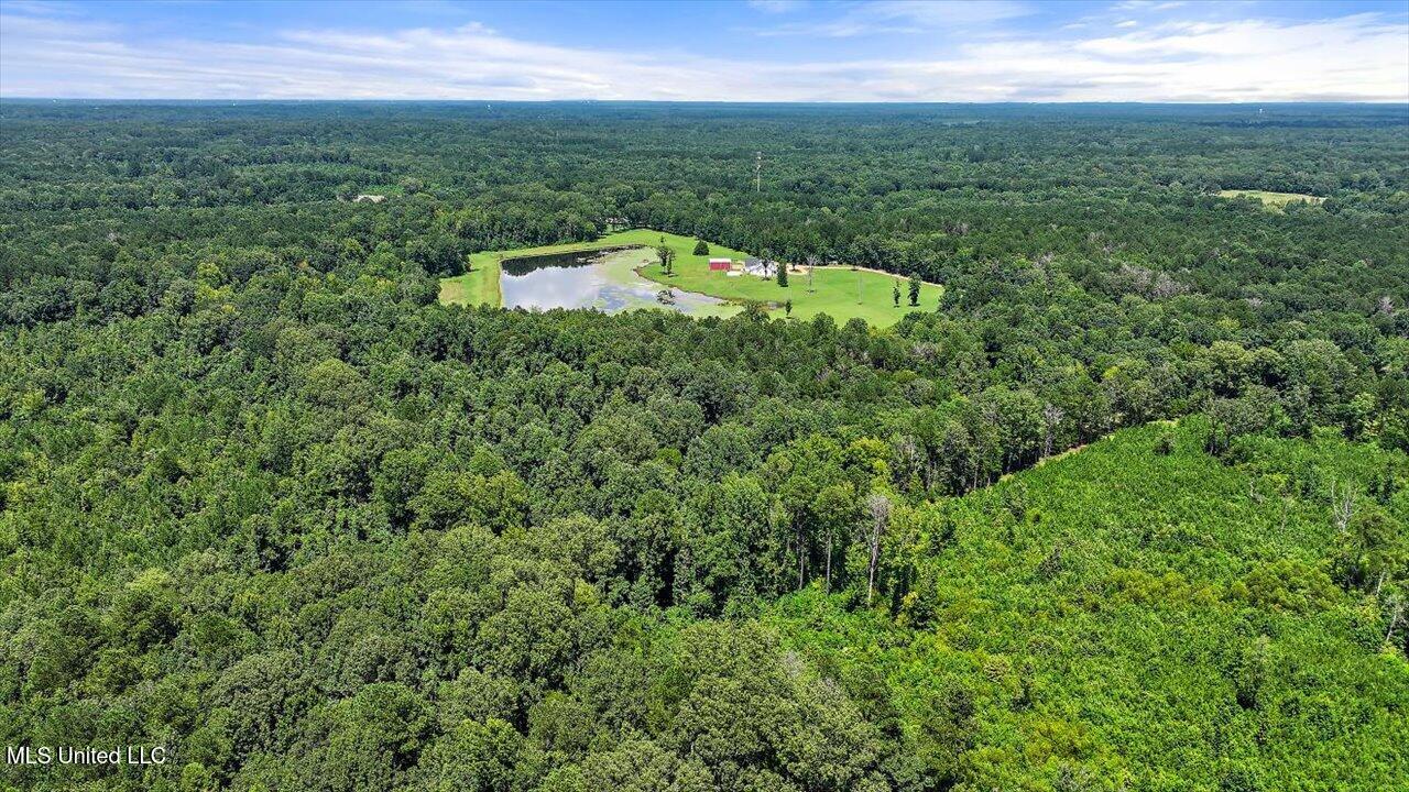 297 Barnes Road Florence, MS 39073 - Photo 111 of 169 079-297 Barnes Rd