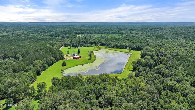 $1,590,000 | 297 Barnes Road, Florence, MS 39073