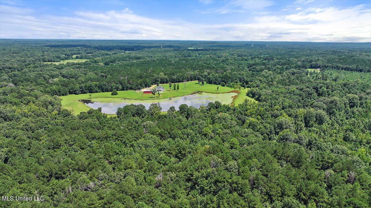 297 Barnes Road Florence, MS 39073 - Photo 116 of 170 081-297 Barnes Rd