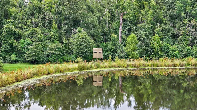 $1,590,000 | 297 Barnes Road, Florence, MS 39073