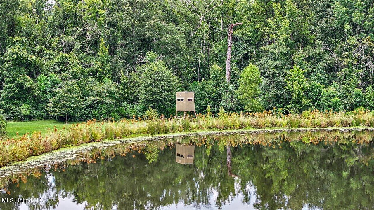 297 Barnes Road Florence, MS 39073 - Photo 117 of 169 119-297 Barnes Rd