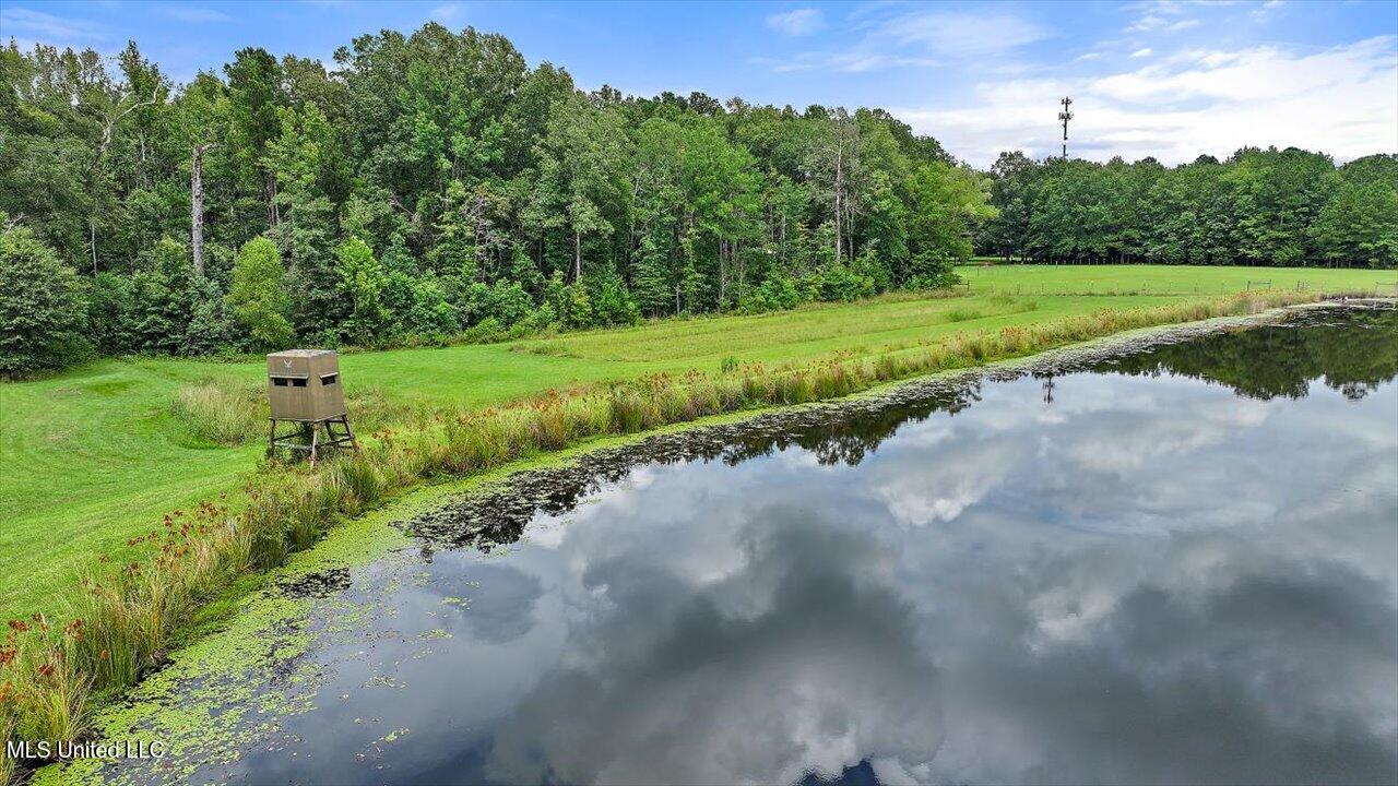 297 Barnes Road Florence, MS 39073 - Photo 118 of 169 120-297 Barnes Rd