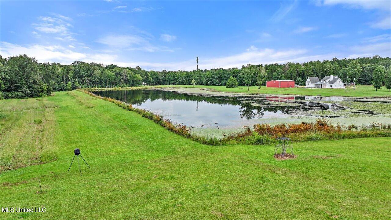 297 Barnes Road Florence, MS 39073 - Photo 123 of 169 125-297 Barnes Rd