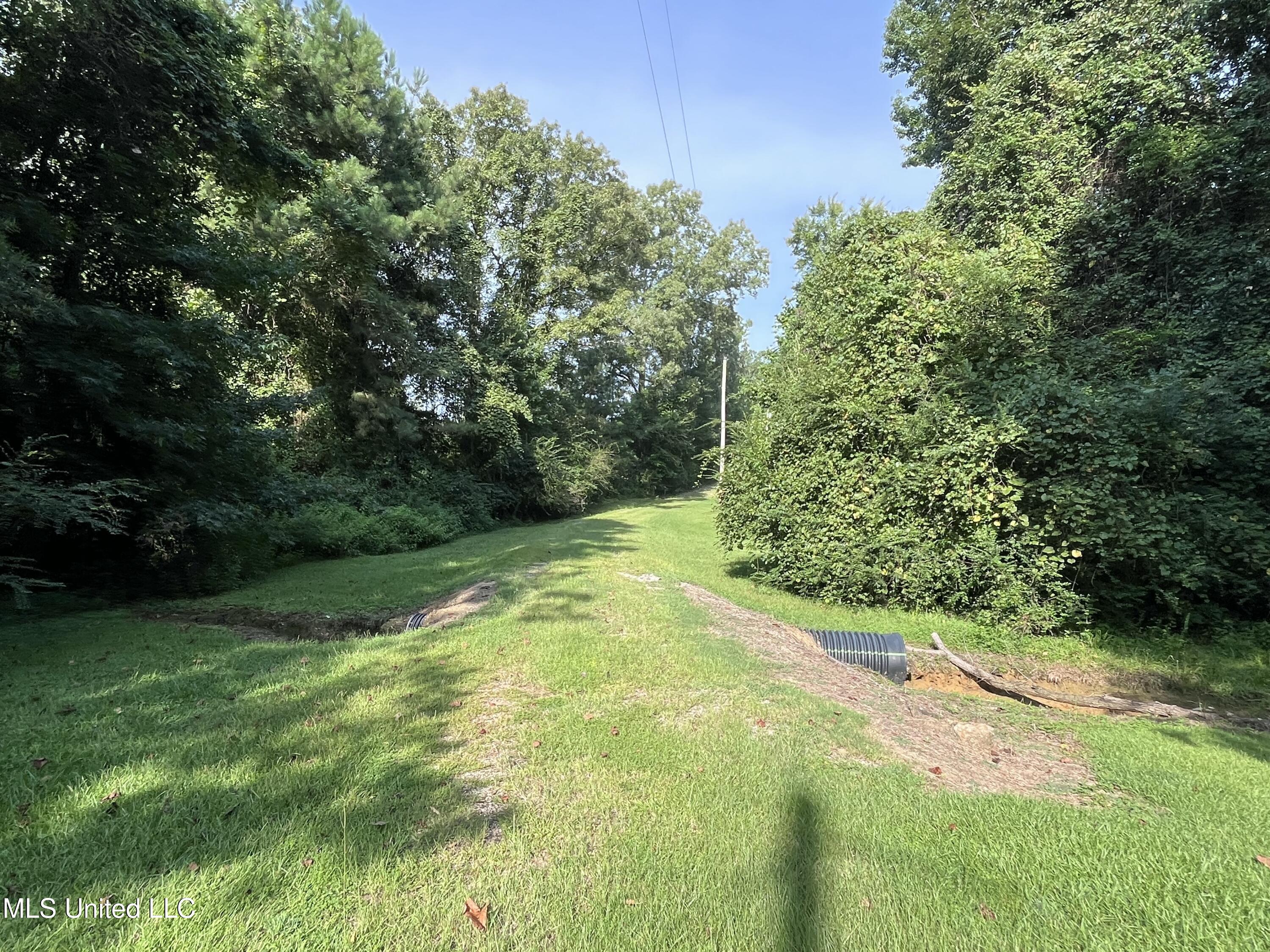 297 Barnes Road Florence, MS 39073 - Photo 130 of 170 IMG_8440