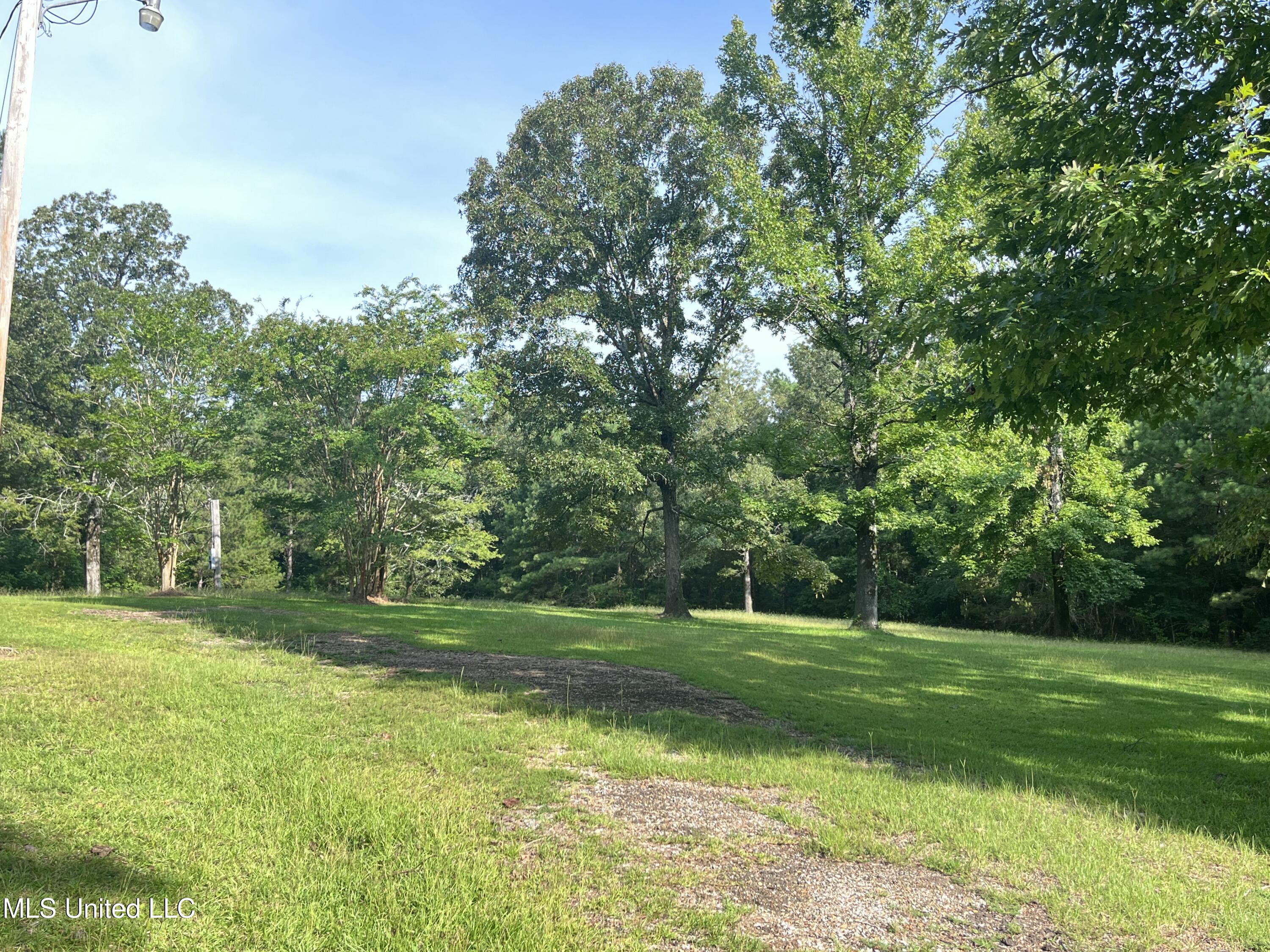 297 Barnes Road Florence, MS 39073 - Photo 132 of 170 IMG_8442