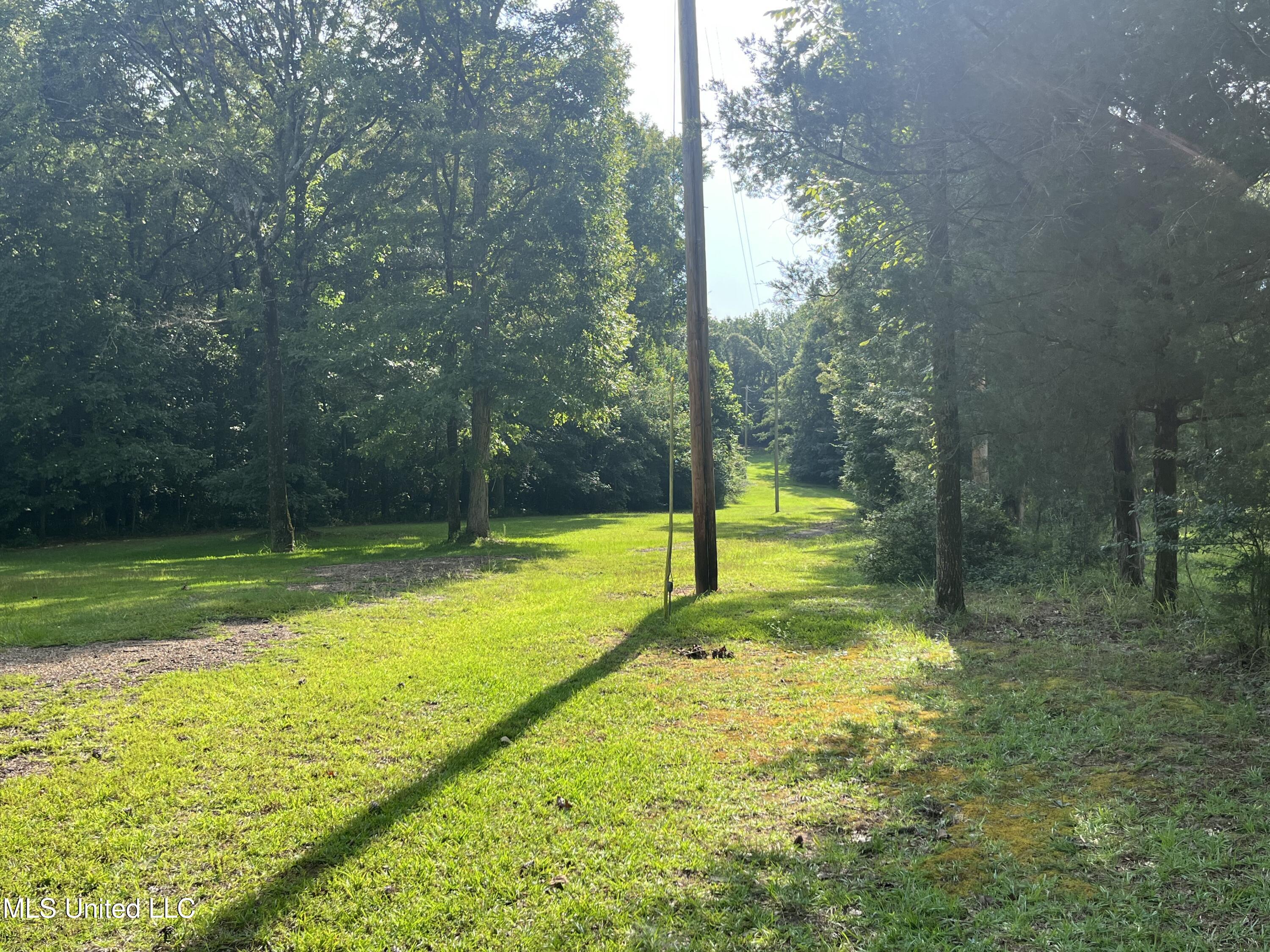 297 Barnes Road Florence, MS 39073 - Photo 133 of 170 IMG_8443