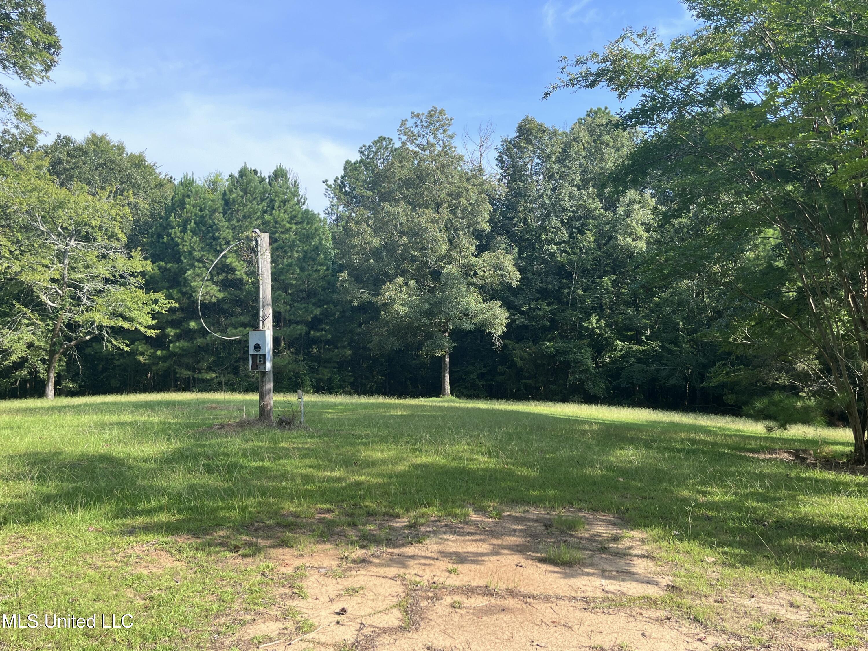 297 Barnes Road Florence, MS 39073 - Photo 134 of 170 IMG_8444