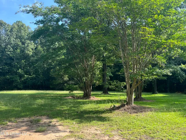 $1,590,000 | 297 Barnes Road, Florence, MS 39073