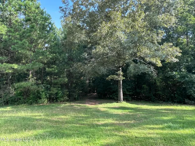 $1,590,000 | 297 Barnes Road, Florence, MS 39073
