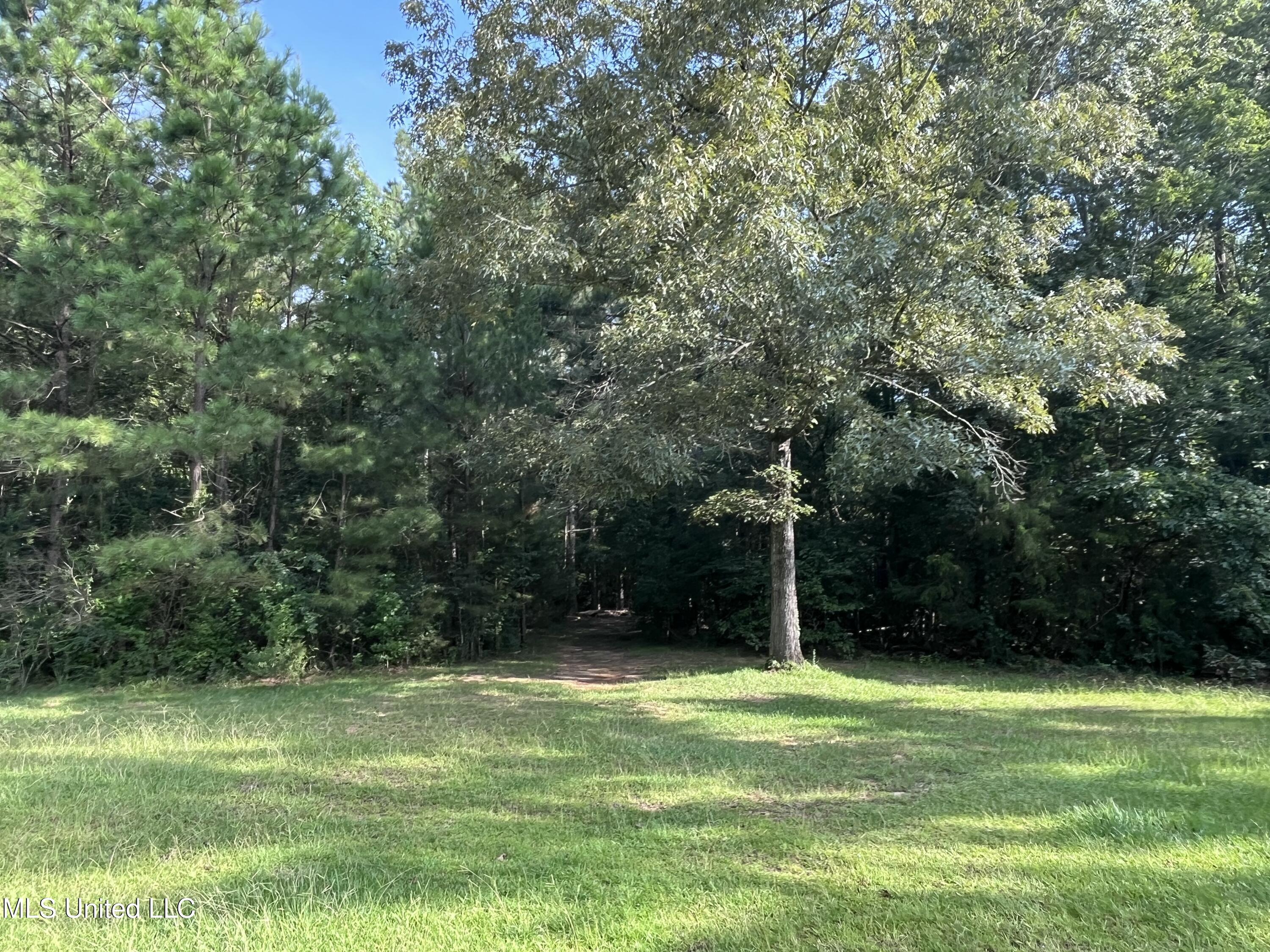 297 Barnes Road Florence, MS 39073 - Photo 137 of 170 IMG_8448