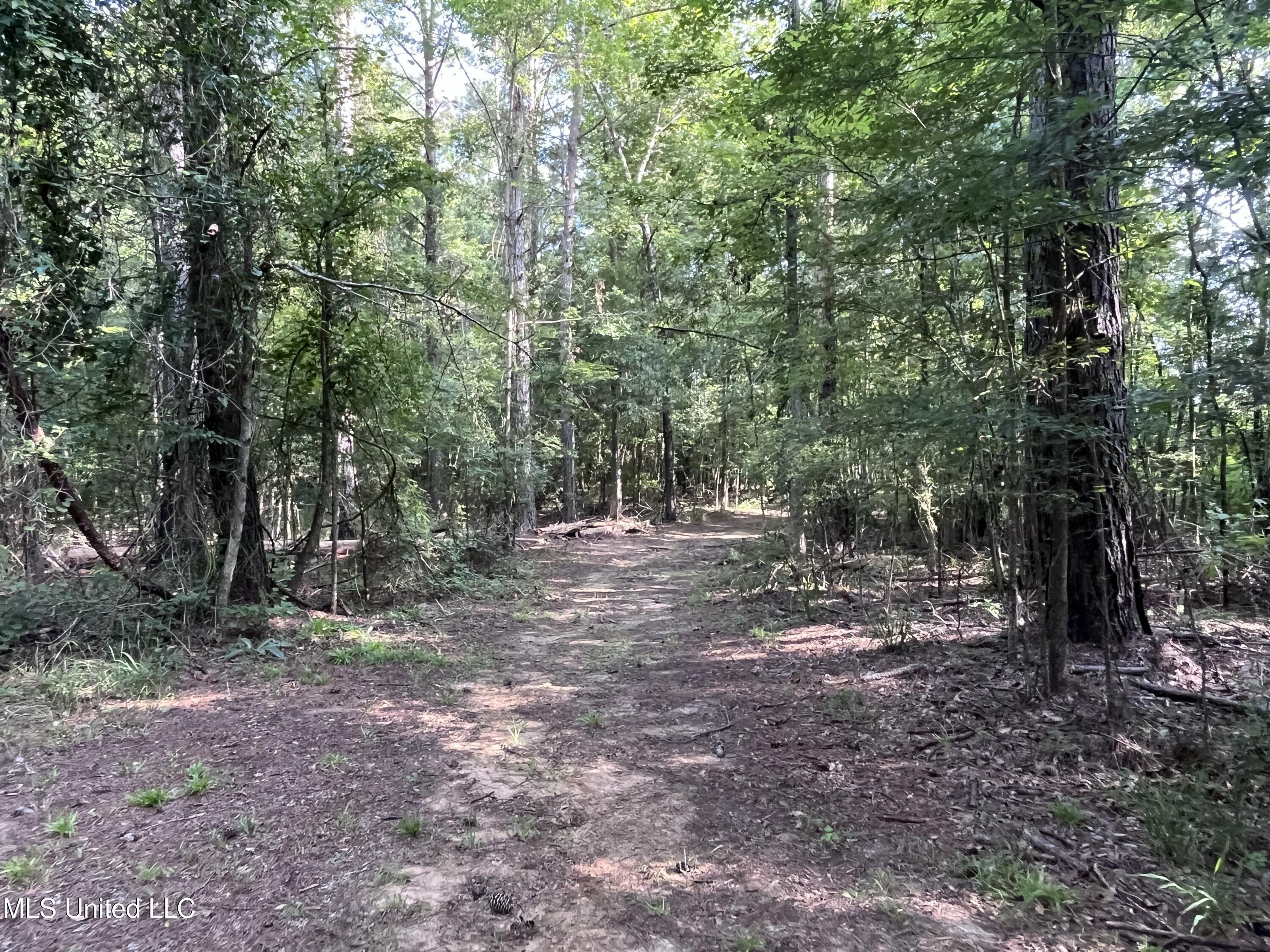 297 Barnes Road Florence, MS 39073 - Photo 138 of 170 IMG_8449