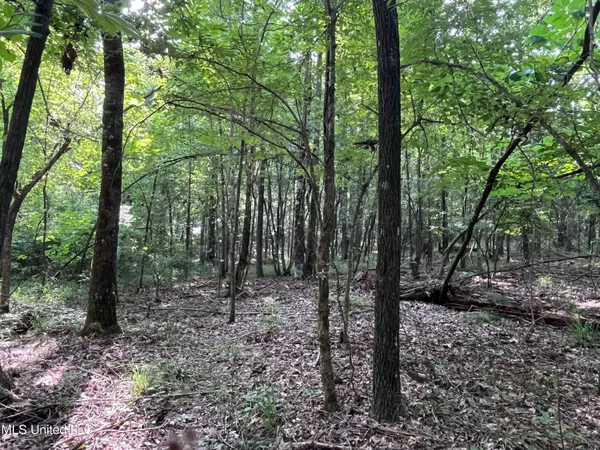 $1,590,000 | 297 Barnes Road, Florence, MS 39073