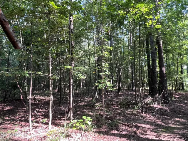 $1,590,000 | 297 Barnes Road, Florence, MS 39073