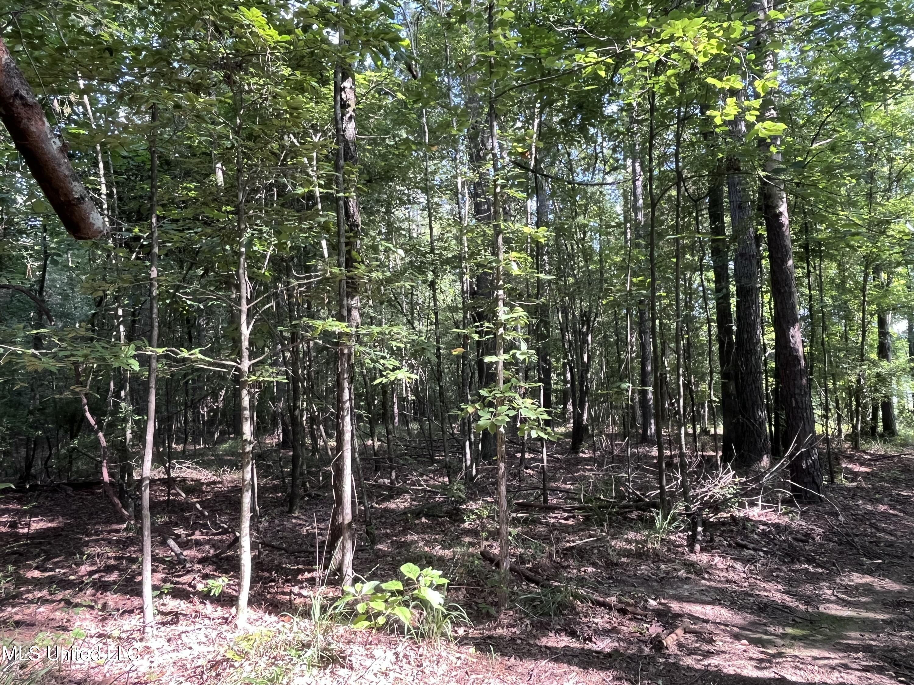 297 Barnes Road Florence, MS 39073 - Photo 140 of 169 IMG_8452