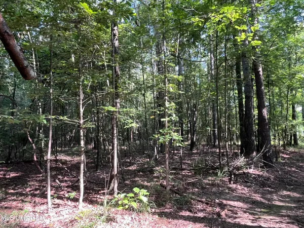 $1,590,000 | 297 Barnes Road, Florence, MS 39073