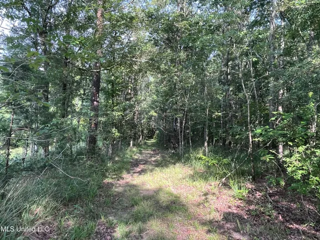 $1,590,000 | 297 Barnes Road, Florence, MS 39073