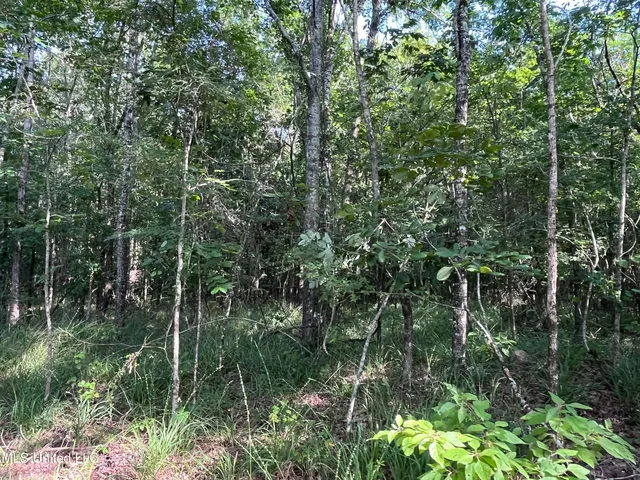 $1,590,000 | 297 Barnes Road, Florence, MS 39073