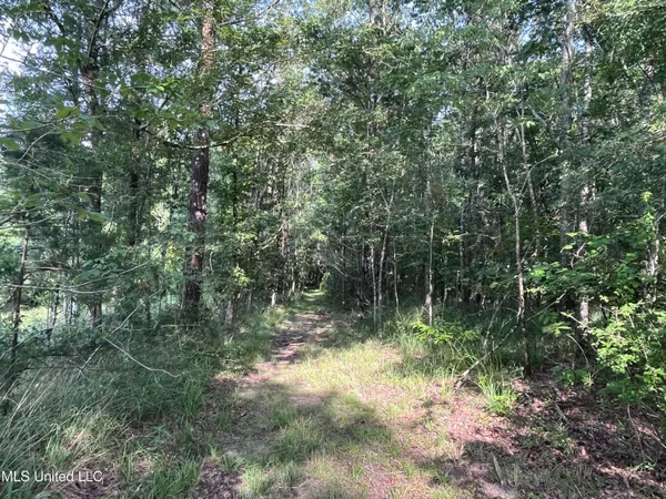 $1,590,000 | 297 Barnes Road, Florence, MS 39073