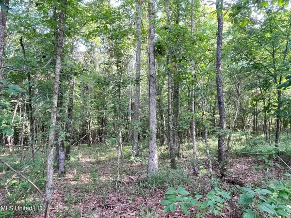$1,590,000 | 297 Barnes Road, Florence, MS 39073