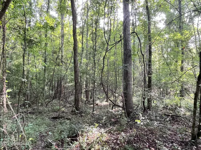 $1,590,000 | 297 Barnes Road, Florence, MS 39073