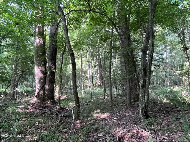 $1,590,000 | 297 Barnes Road, Florence, MS 39073