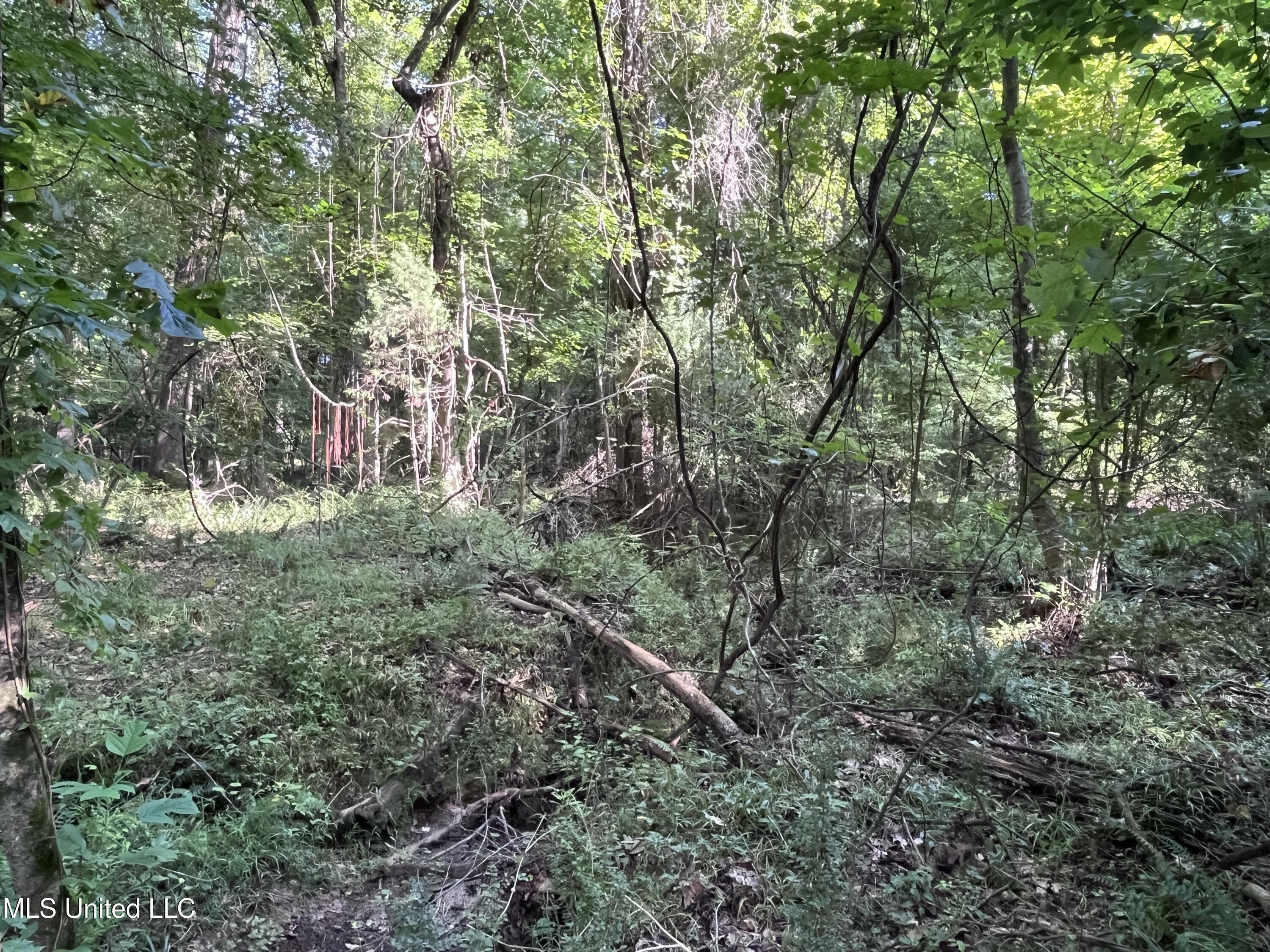 297 Barnes Road Florence, MS 39073 - Photo 148 of 169 IMG_8460