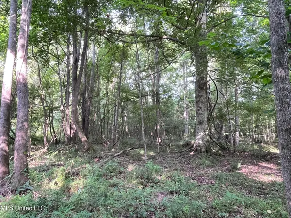 $1,590,000 | 297 Barnes Road, Florence, MS 39073