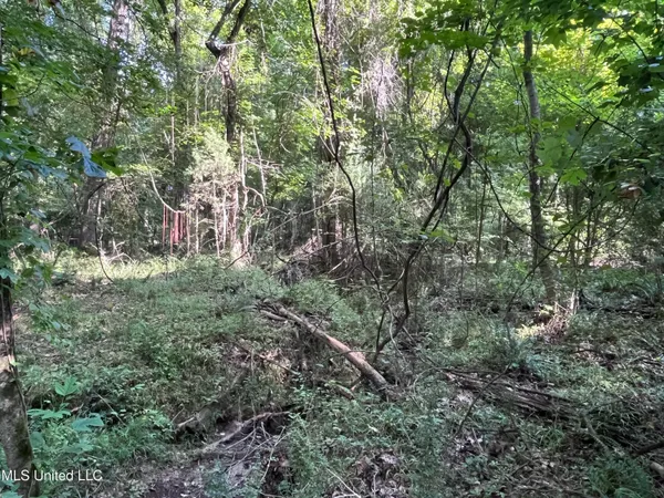 $1,590,000 | 297 Barnes Road, Florence, MS 39073