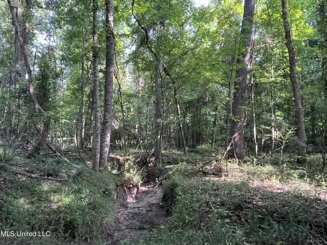 $1,590,000 | 297 Barnes Road, Florence, MS 39073