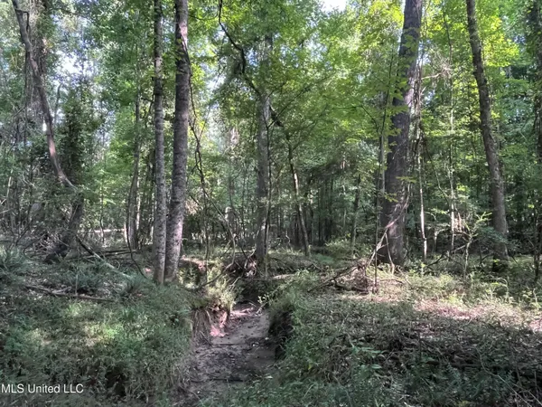 $1,590,000 | 297 Barnes Road, Florence, MS 39073