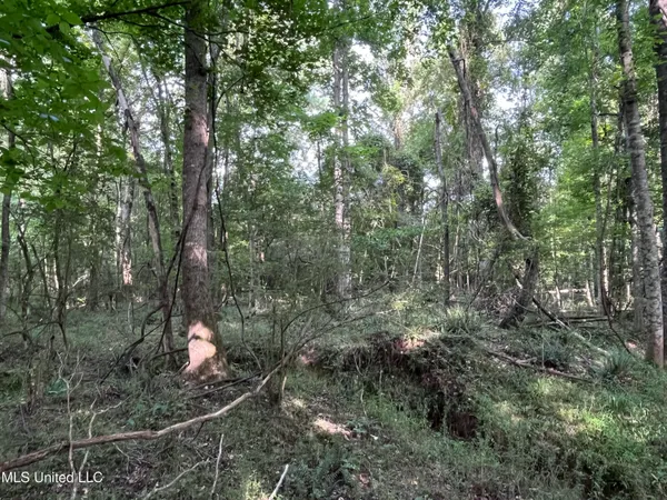 $1,590,000 | 297 Barnes Road, Florence, MS 39073