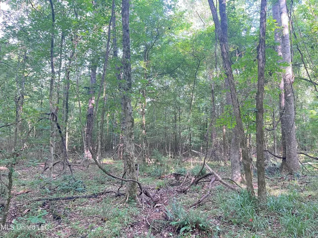 $1,590,000 | 297 Barnes Road, Florence, MS 39073