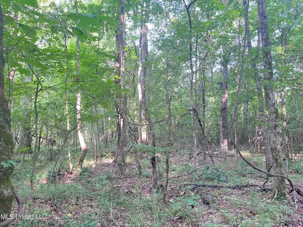 $1,590,000 | 297 Barnes Road, Florence, MS 39073