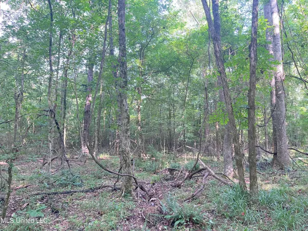 $1,590,000 | 297 Barnes Road, Florence, MS 39073