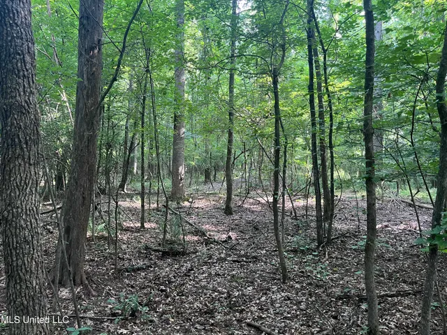 $1,590,000 | 297 Barnes Road, Florence, MS 39073