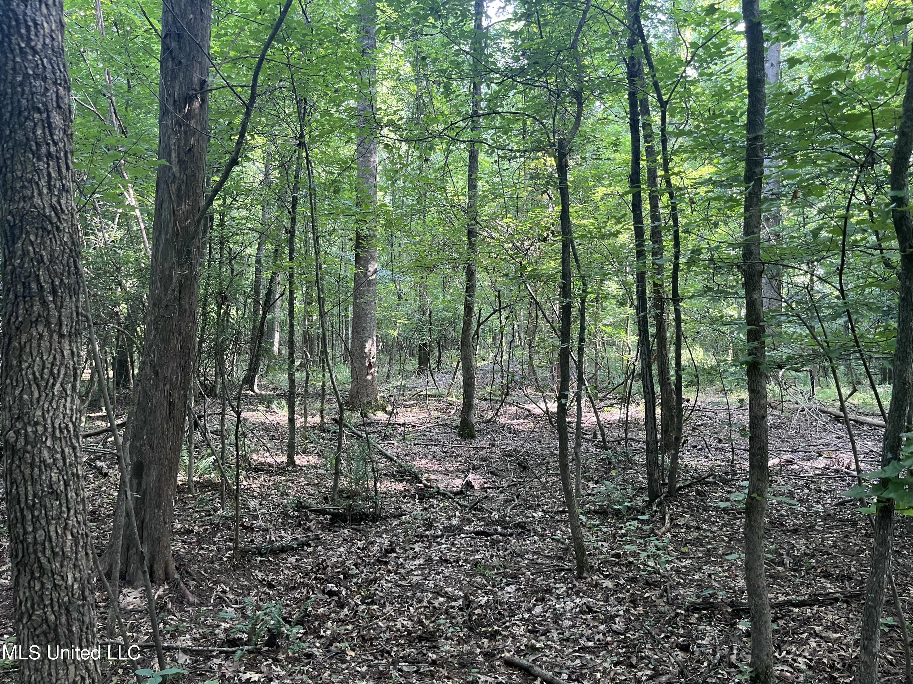 297 Barnes Road Florence, MS 39073 - Photo 154 of 169 IMG_8466