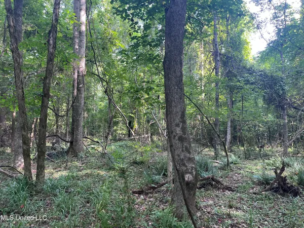 $1,590,000 | 297 Barnes Road, Florence, MS 39073